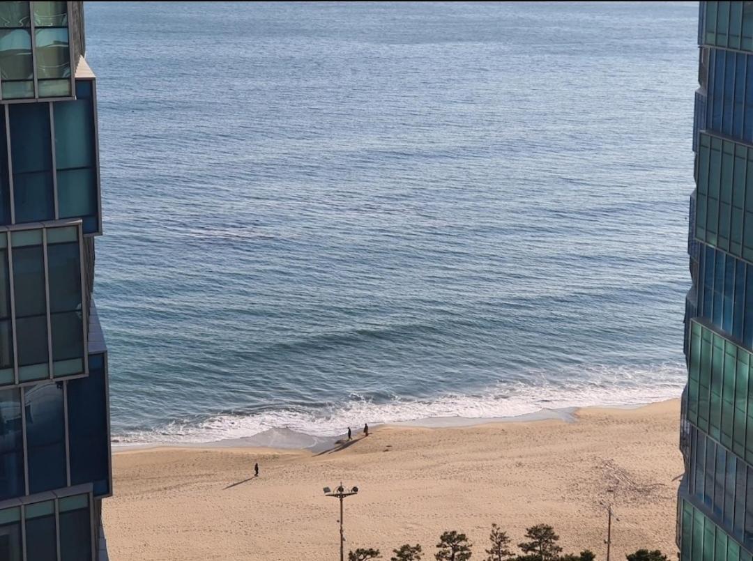 Haeundae Lavender House-Irua Hotel Pusan Zewnętrze zdjęcie